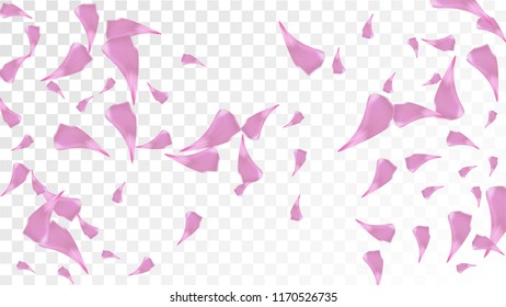 Red Rose Petals Falling Down. Isolated Vector illustration of Rose Petals. Flying Red Sakura Blossom Background. Design of Greeting or Invitation Card. 
