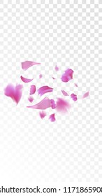 Red Rose Petals Falling Down. Isolated Vector illustration of Rose Petals. Flying Red Sakura Blossom Background. Design of Greeting or Invitation Card. 
