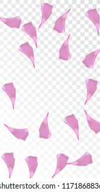 Red Rose Petals Falling Down. Isolated Vector illustration of Rose Petals. Flying Red Sakura Blossom Background. Design of Greeting or Invitation Card. 
