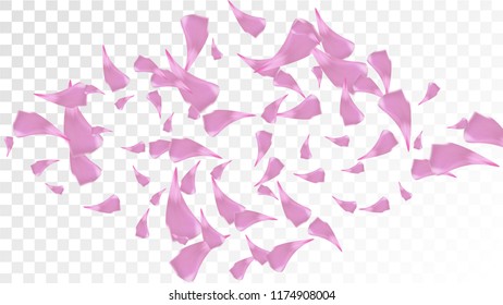 Red Rose Petals Falling Down. Isolated Vector illustration of Rose Petals. Flying Red Sakura Blossom Background. Design of Greeting or Invitation Card. 
