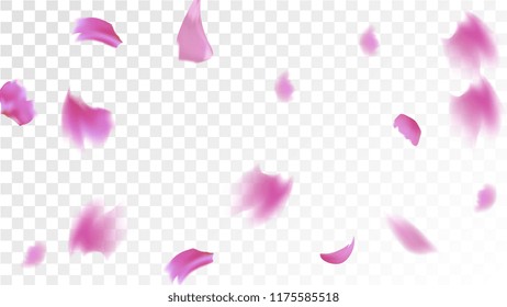 Red Rose Petals Falling Down. Isolated Vector illustration of Rose Petals. Flying Red Sakura Blossom Background. Design of Greeting or Invitation Card. 
