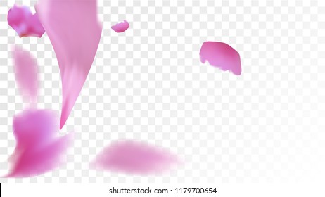 Red Rose Petals Falling Down. Isolated Vector illustration of Rose Petals. Flying Red Sakura Blossom Background. Design of Greeting or Invitation Card. 
