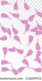 Red Rose Petals Falling Down. Isolated Vector illustration of Rose Petals. Flying Red Sakura Blossom Background. Design of Greeting or Invitation Card. 
