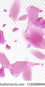 Red Rose Petals Falling Down. Isolated Vector illustration of Rose Petals. Flying Red Sakura Blossom Background. Design of Greeting or Invitation Card. 
