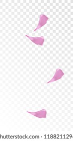 Red Rose Petals Falling Down. Isolated Vector illustration of Rose Petals. Flying Red Sakura Blossom Background. Design of Greeting or Invitation Card. 
