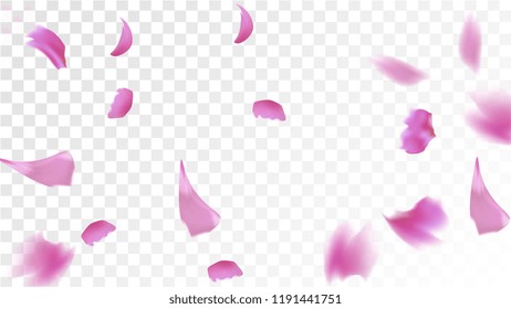 Red Rose Petals Falling Down. Isolated Vector illustration of Rose Petals. Flying Red Sakura Blossom Background. Design of Greeting or Invitation Card. 
