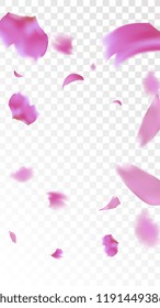 Red Rose Petals Falling Down. Isolated Vector illustration of Rose Petals. Flying Red Sakura Blossom Background. Design of Greeting or Invitation Card. 
