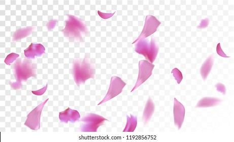 Red Rose Petals Falling Down. Isolated Vector illustration of Rose Petals. Flying Red Sakura Blossom Background. Design of Greeting or Invitation Card. 
