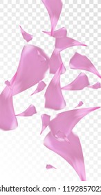 Red Rose Petals Falling Down. Isolated Vector illustration of Rose Petals. Flying Red Sakura Blossom Background. Design of Greeting or Invitation Card. 
