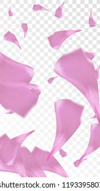 Red Rose Petals Falling Down. Isolated Vector illustration of Rose Petals. Flying Red Sakura Blossom Background. Design of Greeting or Invitation Card. 
