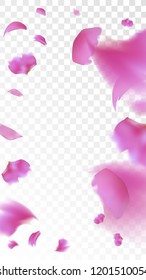 Red Rose Petals Falling Down. Isolated Vector illustration of Rose Petals. Flying Red Sakura Blossom Background. Design of Greeting or Invitation Card. 
