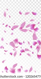 Red Rose Petals Falling Down. Isolated Vector illustration of Rose Petals. Flying Red Sakura Blossom Background. Design of Greeting or Invitation Card. 
