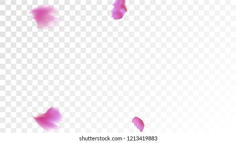 Red Rose Petals Falling Down. Isolated Vector illustration of Rose Petals. Flying Red Sakura Blossom Background. Design of Greeting or Invitation Card. 
