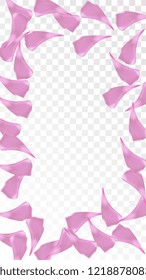 Red Rose Petals Falling Down. Isolated Vector illustration of Rose Petals. Flying Red Sakura Blossom Background. Design of Greeting or Invitation Card. 
