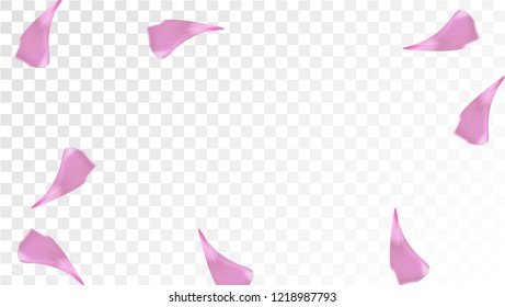 Red Rose Petals Falling Down. Isolated Vector illustration of Rose Petals. Flying Red Sakura Blossom Background. Design of Greeting or Invitation Card. 
