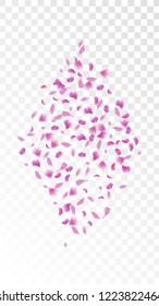 Red Rose Petals Falling Down. Isolated Vector illustration of Rose Petals. Flying Red Sakura Blossom Background. Design of Greeting or Invitation Card. 
