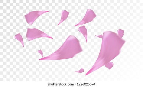 Red Rose Petals Falling Down. Isolated Vector illustration of Rose Petals. Flying Red Sakura Blossom Background. Design of Greeting or Invitation Card. 

