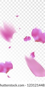 Red Rose Petals Falling Down. Isolated Vector illustration of Rose Petals. Flying Red Sakura Blossom Background. Design of Greeting or Invitation Card. 
