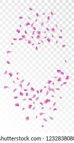Red Rose Petals Falling Down. Isolated Vector illustration of Rose Petals. Flying Red Sakura Blossom Background. Design of Greeting or Invitation Card. 
