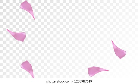 Red Rose Petals Falling Down. Isolated Vector illustration of Rose Petals. Flying Red Sakura Blossom Background. Design of Greeting or Invitation Card. 
