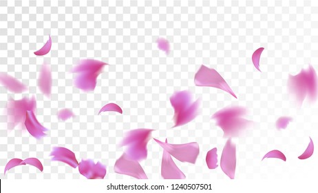 Red Rose Petals Falling Down. Isolated Vector illustration of Rose Petals. Flying Red Sakura Blossom Background. Design of Greeting or Invitation Card. 
