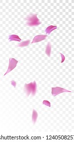 Red Rose Petals Falling Down. Isolated Vector illustration of Rose Petals. Flying Red Sakura Blossom Background. Design of Greeting or Invitation Card. 
