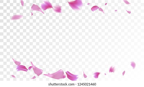 Red Rose Petals Falling Down. Isolated Vector illustration of Rose Petals. Flying Red Sakura Blossom Background. Design of Greeting or Invitation Card. 
