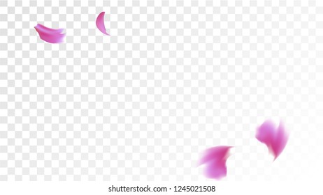 Red Rose Petals Falling Down. Isolated Vector illustration of Rose Petals. Flying Red Sakura Blossom Background. Design of Greeting or Invitation Card. 
