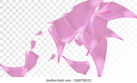 Red Rose Petals Falling Down. Isolated Vector illustration of Rose Petals. Flying Red Sakura Blossom Background. Design of Greeting or Invitation Card. 
