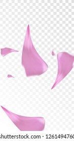 Red Rose Petals Falling Down. Isolated Vector illustration of Rose Petals. Flying Red Sakura Blossom Background. Design of Greeting or Invitation Card. 
