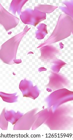 Red Rose Petals Falling Down. Isolated Vector illustration of Rose Petals. Flying Red Sakura Blossom Background. Design of Greeting or Invitation Card. 
