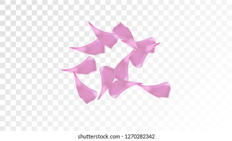Red Rose Petals Falling Down. Isolated Vector illustration of Rose Petals. Flying Red Sakura Blossom Background. Design of Greeting or Invitation Card. 
