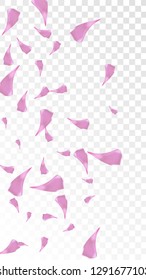 Red Rose Petals Falling Down. Isolated Vector illustration of Rose Petals. Flying Red Sakura Blossom Background. Design of Greeting or Invitation Card. 

