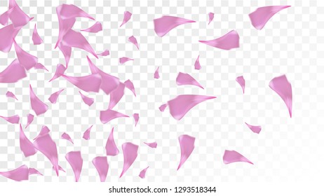 Red Rose Petals Falling Down. Isolated Vector illustration of Rose Petals. Flying Red Sakura Blossom Background. Design of Greeting or Invitation Card. 
