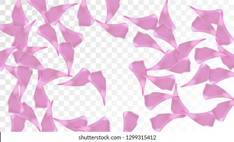Red Rose Petals Falling Down. Isolated Vector illustration of Rose Petals. Flying Red Sakura Blossom Background. Design of Greeting or Invitation Card. 
