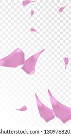 Red Rose Petals Falling Down. Isolated Vector illustration of Rose Petals. Flying Red Sakura Blossom Background. Design of Greeting or Invitation Card. 
