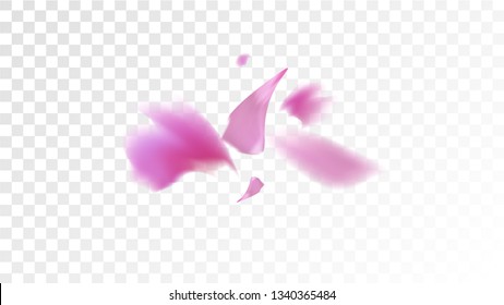 Red Rose Petals Falling Down. Isolated Vector illustration of Rose Petals. Flying Red Sakura Blossom Background. Design of Greeting or Invitation Card. 
