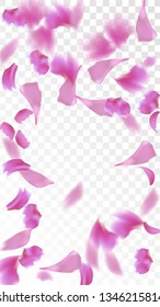 Red Rose Petals Falling Down. Isolated Vector illustration of Rose Petals. Flying Red Sakura Blossom Background. Design of Greeting or Invitation Card. 
