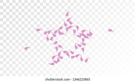 Red Rose Petals Falling Down. Isolated Vector illustration of Rose Petals. Flying Red Sakura Blossom Background. Design of Greeting or Invitation Card. 
