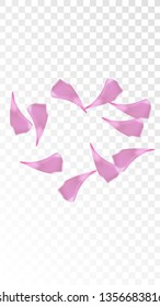 Red Rose Petals Falling Down. Isolated Vector illustration of Rose Petals. Flying Red Sakura Blossom Background. Design of Greeting or Invitation Card. 
