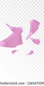 Red Rose Petals Falling Down. Isolated Vector illustration of Rose Petals. Flying Red Sakura Blossom Background. Design of Greeting or Invitation Card. 
