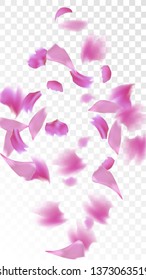 Red Rose Petals Falling Down. Isolated Vector illustration of Rose Petals. Flying Red Sakura Blossom Background. Design of Greeting or Invitation Card. 
