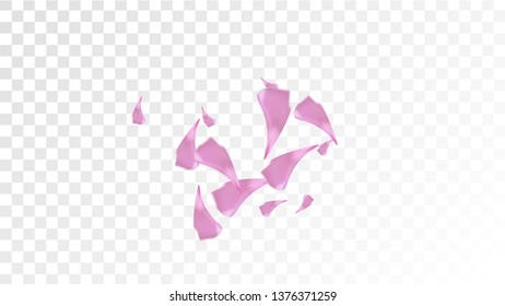 Red Rose Petals Falling Down. Isolated Vector illustration of Rose Petals. Flying Red Sakura Blossom Background. Design of Greeting or Invitation Card. 
