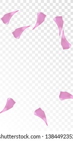 Red Rose Petals Falling Down. Isolated Vector illustration of Rose Petals. Flying Red Sakura Blossom Background. Design of Greeting or Invitation Card. 
