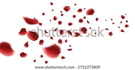 red rose petals falling and floating in the air isolated with soft depth field effect for Valentine Day