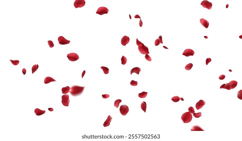 Red rose petals fly in a circle on a white background.