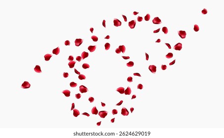 Red rose petals fly in a circle. The center free space for Your photos or text. white background