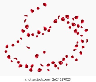 Red rose petals fly in a circle. The center free space for Your photos or text. white background