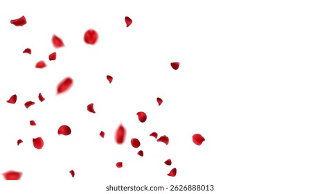 Red rose petals flying corner composition vector romance background beautiful