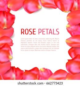 Red rose petals frame isolated on white background. Realistic vector illustration. Wedding invitation or greeting card template